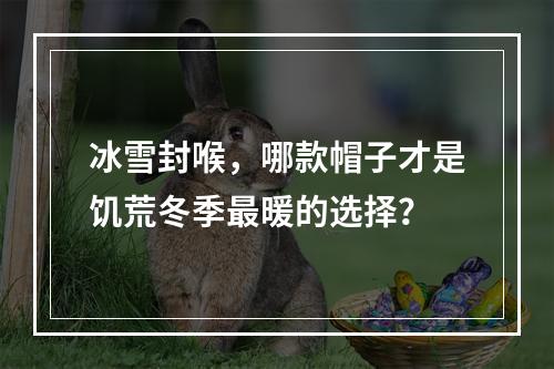 冰雪封喉，哪款帽子才是饥荒冬季最暖的选择？