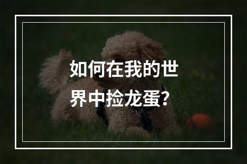 如何在我的世界中捡龙蛋？