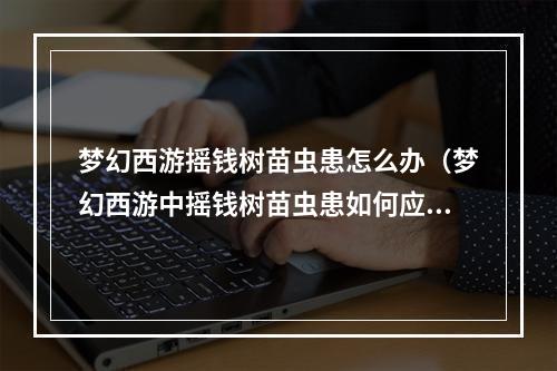 梦幻西游摇钱树苗虫患怎么办（梦幻西游中摇钱树苗虫患如何应对？）