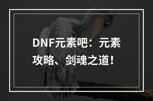 DNF元素吧：元素攻略、剑魂之道！