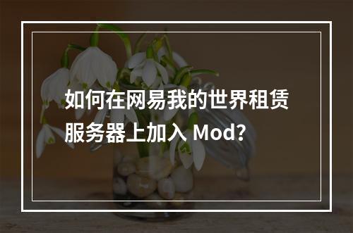 如何在网易我的世界租赁服务器上加入 Mod？