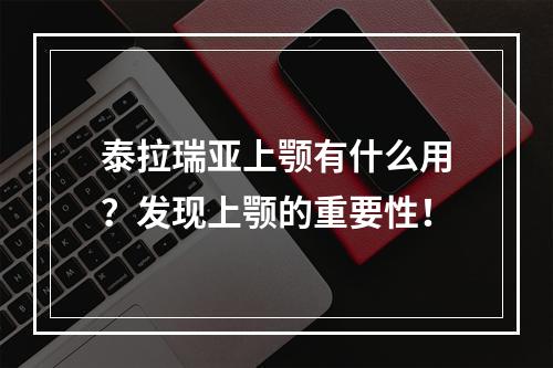 泰拉瑞亚上颚有什么用？发现上颚的重要性！