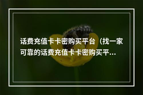 话费充值卡卡密购买平台（找一家可靠的话费充值卡卡密购买平台）