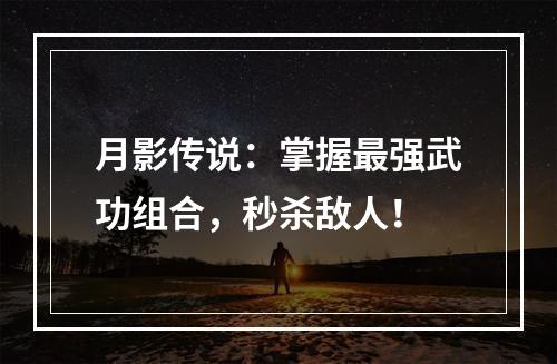 月影传说：掌握最强武功组合，秒杀敌人！