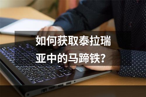 如何获取泰拉瑞亚中的马蹄铁？