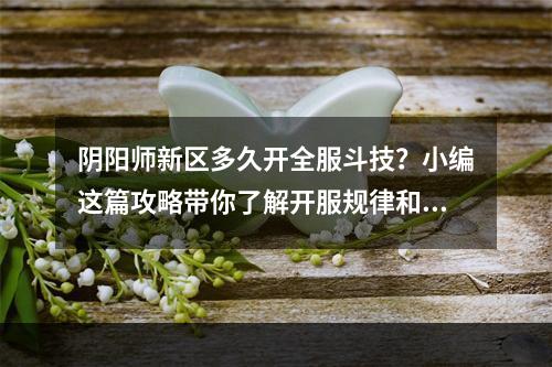 阴阳师新区多久开全服斗技？小编这篇攻略带你了解开服规律和战斗策略！