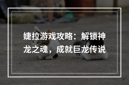 婕拉游戏攻略：解锁神龙之魂，成就巨龙传说