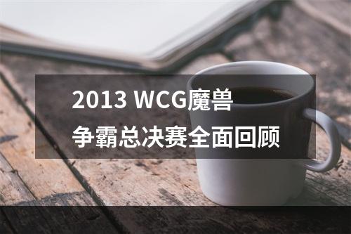 2013 WCG魔兽争霸总决赛全面回顾