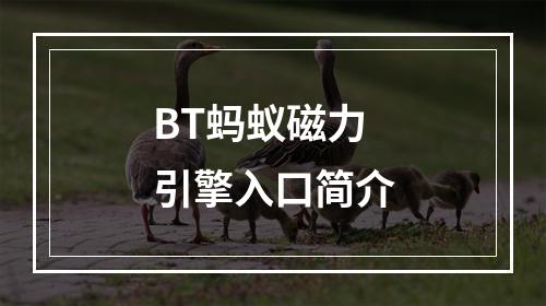 BT蚂蚁磁力引擎入口简介