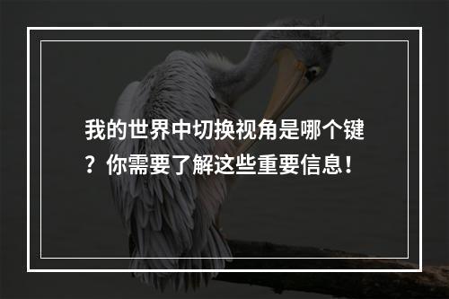 我的世界中切换视角是哪个键？你需要了解这些重要信息！