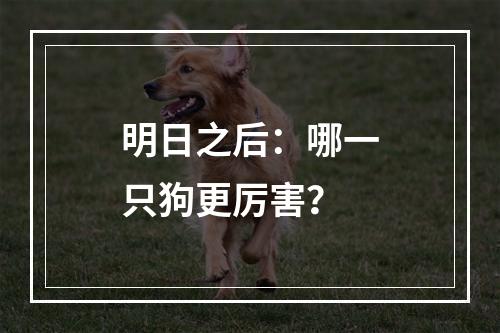 明日之后：哪一只狗更厉害？