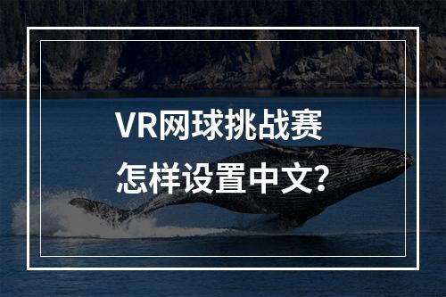 VR网球挑战赛怎样设置中文？