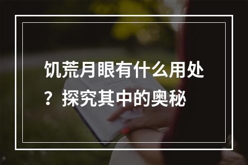 饥荒月眼有什么用处？探究其中的奥秘