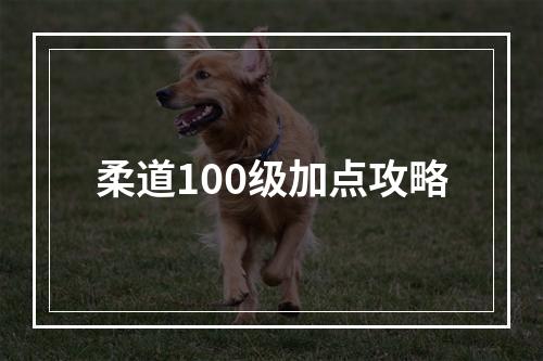 柔道100级加点攻略