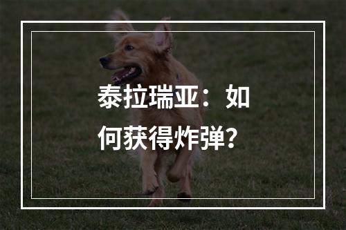 泰拉瑞亚：如何获得炸弹？