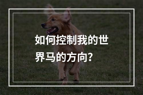 如何控制我的世界马的方向？