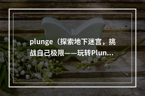 plunge（探索地下迷宫，挑战自己极限——玩转Plunge）