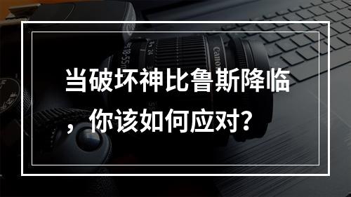 当破坏神比鲁斯降临，你该如何应对？