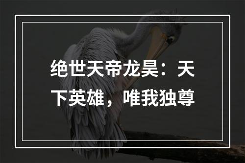 绝世天帝龙昊：天下英雄，唯我独尊