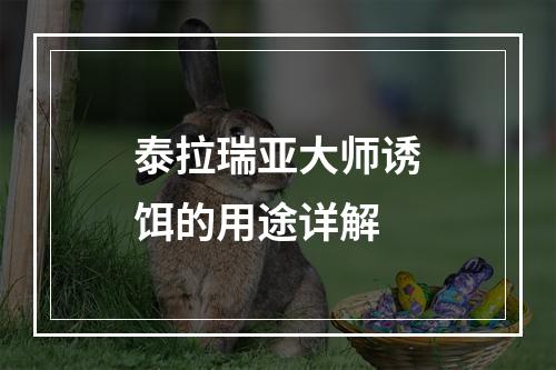 泰拉瑞亚大师诱饵的用途详解