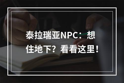 泰拉瑞亚NPC：想住地下？看看这里！