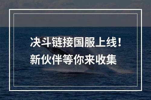 决斗链接国服上线！新伙伴等你来收集