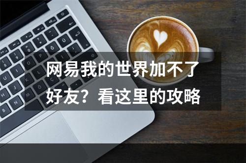 网易我的世界加不了好友？看这里的攻略