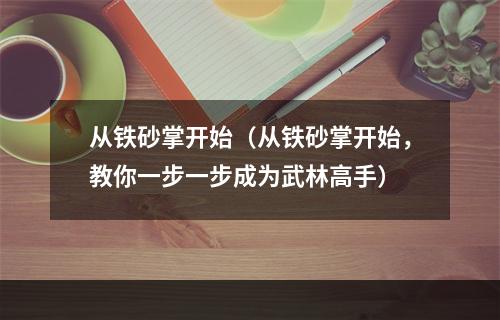 从铁砂掌开始（从铁砂掌开始，教你一步一步成为武林高手）