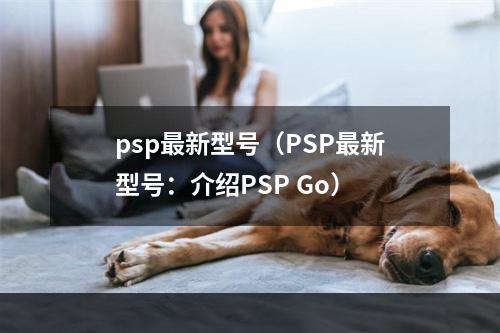 psp最新型号（PSP最新型号：介绍PSP Go）