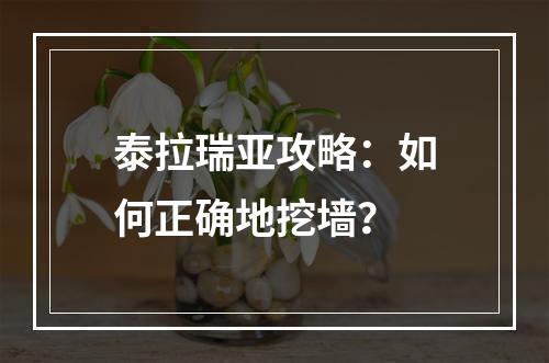 泰拉瑞亚攻略：如何正确地挖墙？