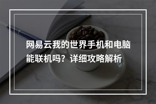 网易云我的世界手机和电脑能联机吗？详细攻略解析