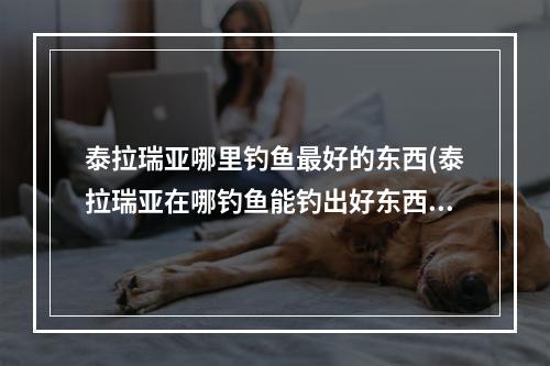 泰拉瑞亚哪里钓鱼最好的东西(泰拉瑞亚在哪钓鱼能钓出好东西)