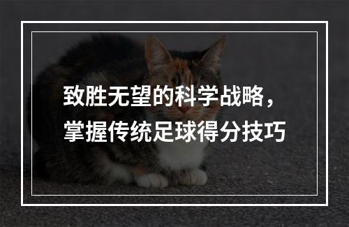 致胜无望的科学战略，掌握传统足球得分技巧