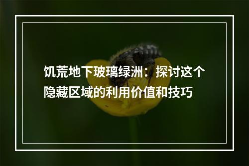 饥荒地下玻璃绿洲：探讨这个隐藏区域的利用价值和技巧