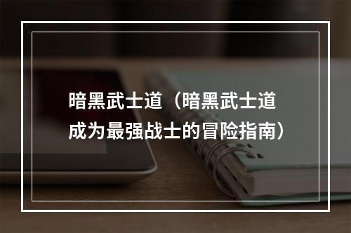 暗黑武士道（暗黑武士道 成为最强战士的冒险指南）