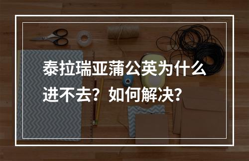 泰拉瑞亚蒲公英为什么进不去？如何解决？