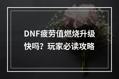 DNF疲劳值燃烧升级快吗？玩家必读攻略