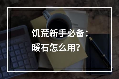 饥荒新手必备：暖石怎么用？