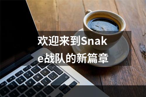 欢迎来到Snake战队的新篇章