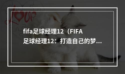 fifa足球经理12（FIFA足球经理12：打造自己的梦幻足球队）