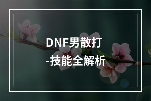 DNF男散打-技能全解析