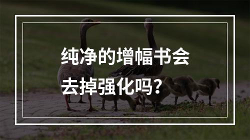 纯净的增幅书会去掉强化吗？