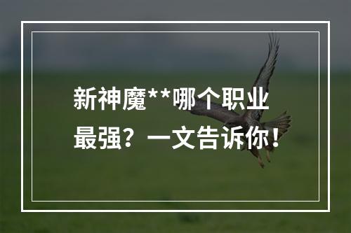 新神魔**哪个职业最强？一文告诉你！