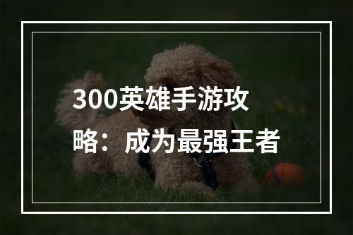 300英雄手游攻略：成为最强王者