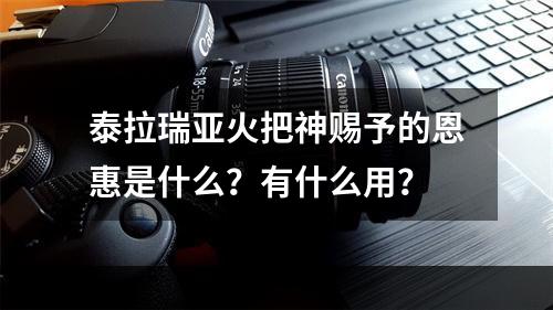 泰拉瑞亚火把神赐予的恩惠是什么？有什么用？