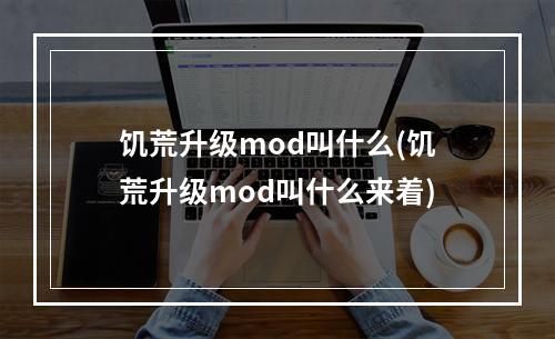 饥荒升级mod叫什么(饥荒升级mod叫什么来着)