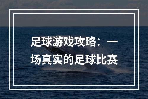 足球游戏攻略：一场真实的足球比赛