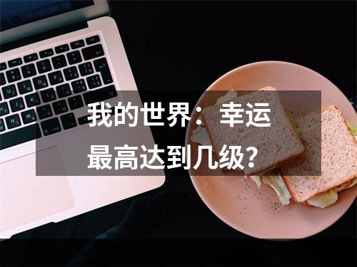 我的世界：幸运最高达到几级？