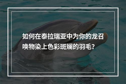 如何在泰拉瑞亚中为你的龙召唤物染上色彩斑斓的羽毛？