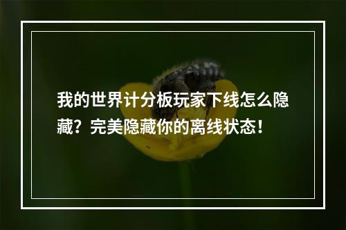 我的世界计分板玩家下线怎么隐藏？完美隐藏你的离线状态！